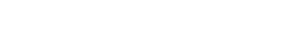 Autoconnekt technology ltd.